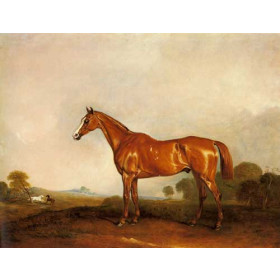 A Chestnut Hunter in a Landscape