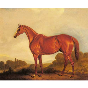 A Portrait of the Racehorse Harkaway, the Winner of the 1838 Goodwood Cup