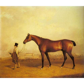 Emlius, Winter of the 1832 Derby, held by a Groom at Doncaster