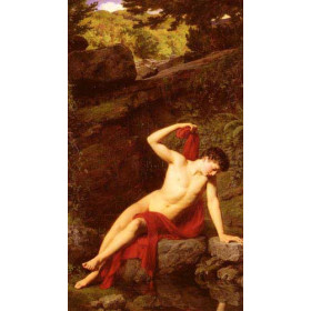 Narcissus