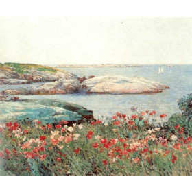 Poppies, Isles of Shoals