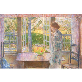 The Goldfish Window