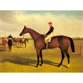 Don John, The Winner of the 1838 St. Leger with William Scott Up