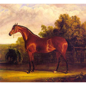 Negotiator the Bay Horse in a Landscape