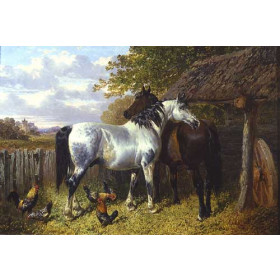 Horses And Poultry In A Paddock