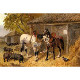 The Farmyard