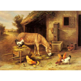 A Donkey and Chickens Outside a Stable