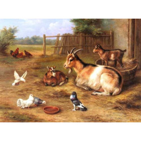 A Farmyard Scene with goats, chickens, doves