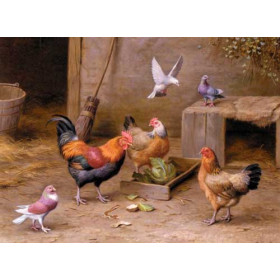 Chickens In A Farmyard