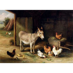 Donkey, Hens and Chickens in a Barn