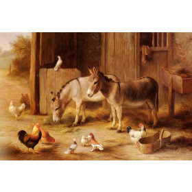 Farmyard Friends