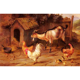 Fowl, Chicks And Goats By A Dog Kennel