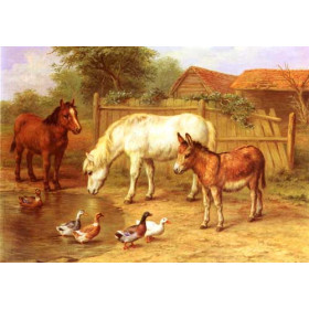 Ponies, Donkey and Ducks in a Farmyard