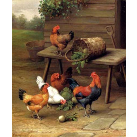 Poultry In A Barnyard