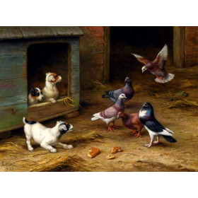 Puppies and Pigeons playing by a Kennel