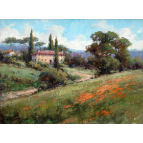 Tuscan Poppies