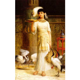 Ale the Attendant of the Sacred Ibis in the Temple of Isis