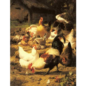 Poultry in a Farmyard