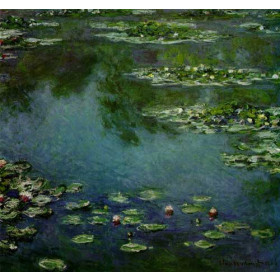 Water Lilies