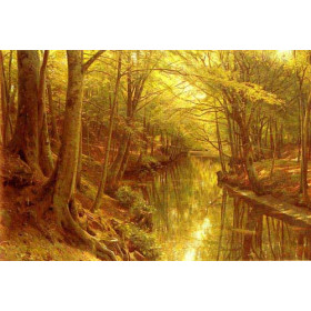 A Woodland Stream