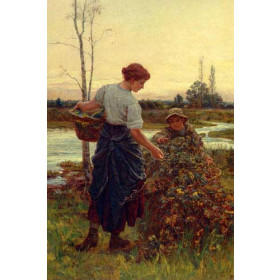 The Harvest