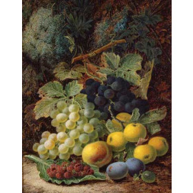 Still Life of Fruit