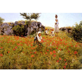 Picking Poppies, Sora