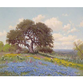 Bluebonnet Landscape