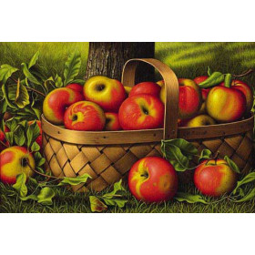 Apples in a Basket