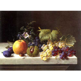 Grapes Plums Etc. On A Marble Ledge